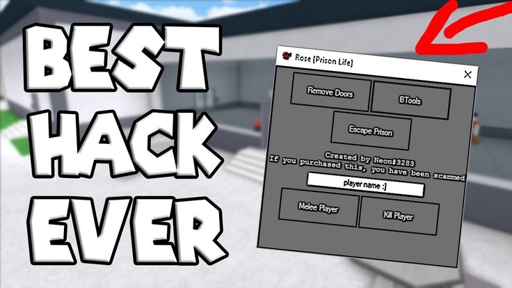 Roblox Mod gameplay screenshot